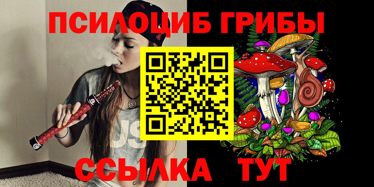Псилоцибиновые грибы прущие грибы Кудымкар
