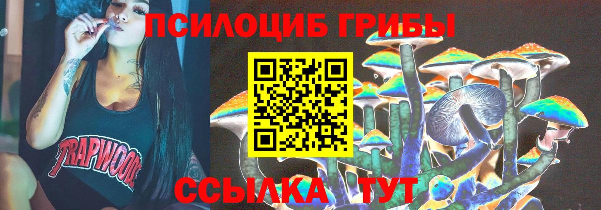 даркнет сайт  Вход с VPN  Кудымкар  Псилоцибиновые грибы мицелий 